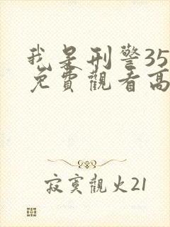 我是刑警35集免费观看高清