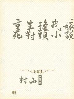 重生后我嫁给了死对头小说