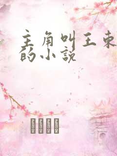 主角叫王东唐潇的小说