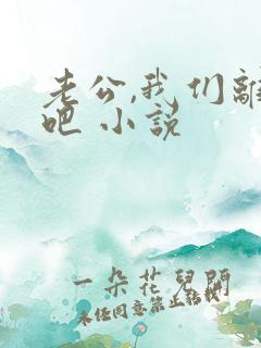 老公,我们离婚吧 小说