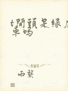 t开头是绿皮火车吗