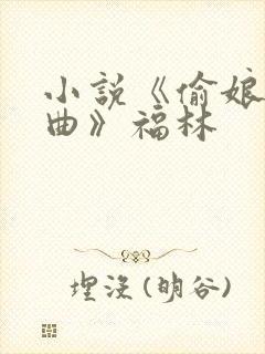 小说《偷娘三部曲》福林