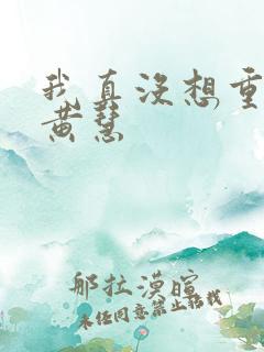 我真没想重生啊黄慧