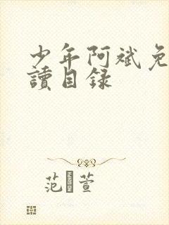 少年阿斌免费阅读目录