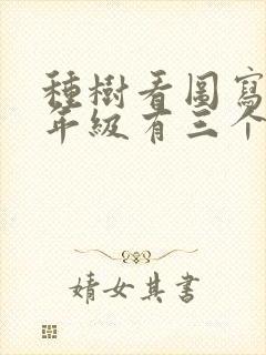 种树看图写话二年级有三个小朋友