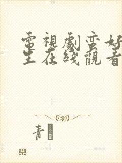 电视剧蛮好的人生在线观看免费完整版