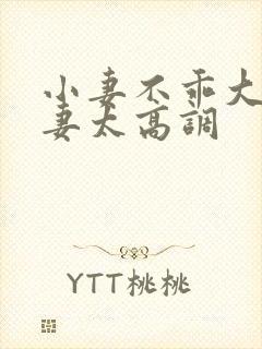 小妻不乖大佬宠妻太高调