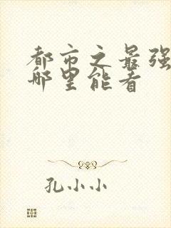 都市之最强狂兵哪里能看