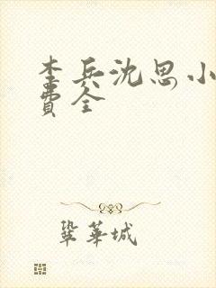 李兵沈思小说免费全