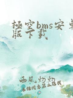 极空bms安卓版下载