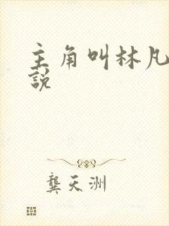 主角叫林凡的小说