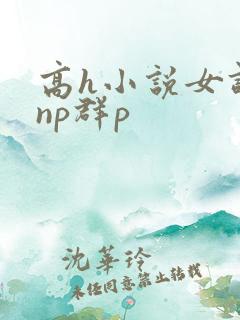 高h小说女调教np群p