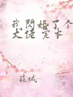 我闪婚了个财阀大佬 完本