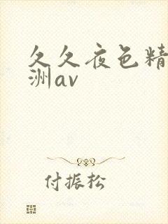 久久夜色精品亚洲av