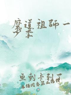 魔道祖师一共多少季