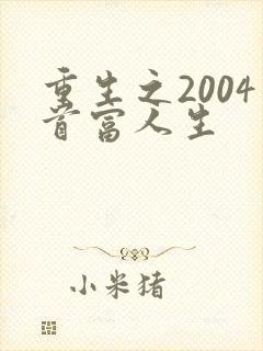重生之2004首富人生