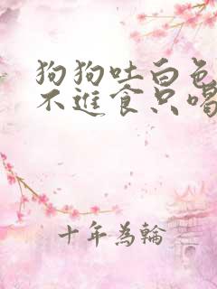 狗狗吐白色粘液不进食只喝水