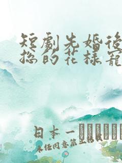 短剧先婚后爱范总的花样宠妻