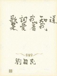 歌词我知道你还是爱着我