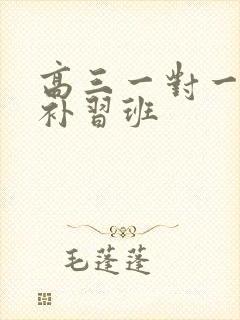 高三一对一地理补习班