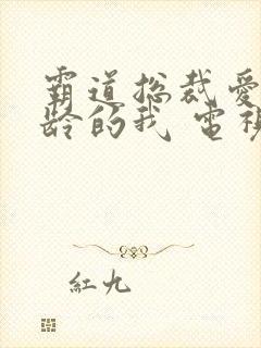 霸道总裁爱上大龄的我 电视剧全集免费观看