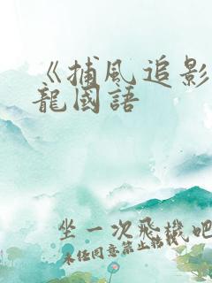 《捕风追影》成龙国语