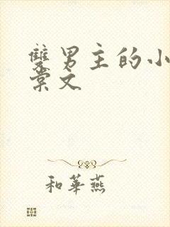 双男主的小说海棠文