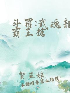 斗罗:武魂龙凰霸王枪