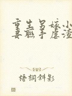 重生另嫁小叔夫妻联手虐渣无错