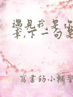 遇见我是你的不幸,下一句是什么