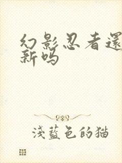 幻影忍者还会更新吗