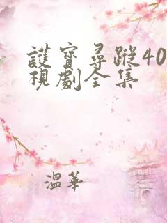 护宝寻踪40电视剧全集