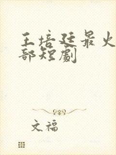 王培廷最火的5部短剧