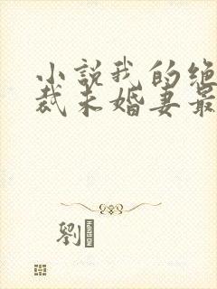 小说我的绝色总裁未婚妻最新章节