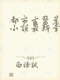 都市古医叶不凡小说最新章节