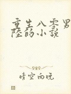 重生八零男主姓陆的小说