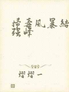 扫毒风暴结局林强峰