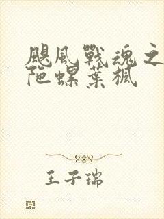 飓风战魂之剑旋陀螺叶枫