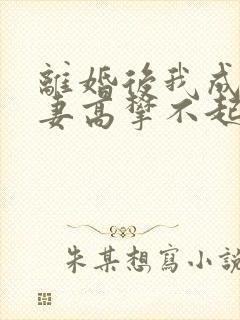 离婚后我成了前妻高攀不起