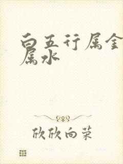 白五行属金还是属水