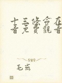 十三条命在线观看免费观看完整版高清国语