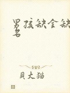 男孩缺金缺火起名