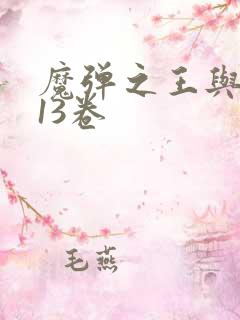 魔弹之王与战姬13卷