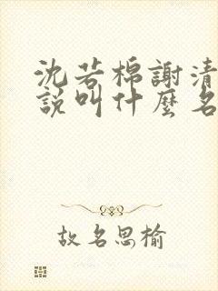 沈若棉谢清樾小说叫什么名字