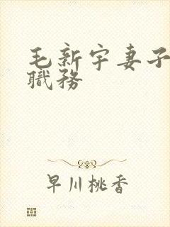 毛新宇妻子刘滨职务