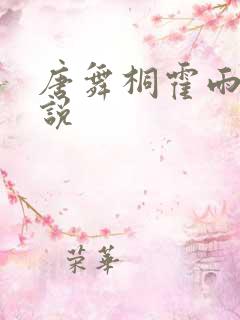 唐舞桐霍雨浩小说