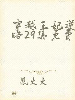 穿越王妃逆袭攻略29集免费观看