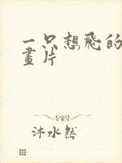 一只想飞的猫动画片