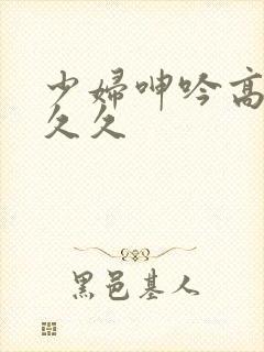 少妇呻吟高潮久久久