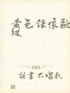 黄色录像欧美三级